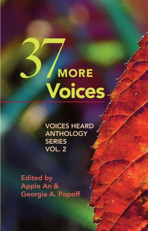37 Voices Book Cover