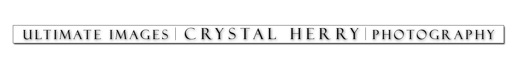 Crystal Herry Photography